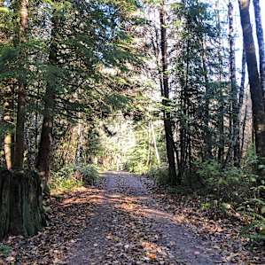 Off-Grid Forest Camp Sites w Sauna