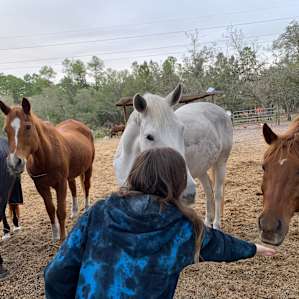 Woodbury Farms