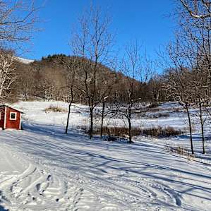 Timbertrail Post and Beam