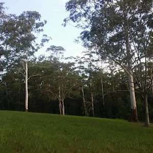 Luxury campground hire