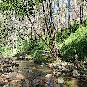Creek running past our campsite