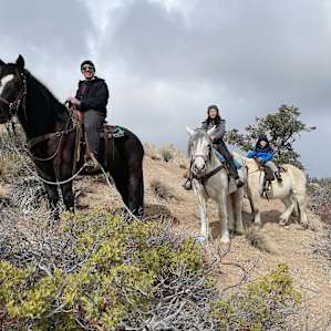 Riding horses