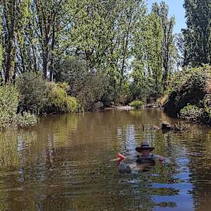 River is great to float in and cool down.