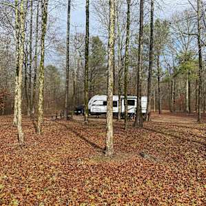 Little Missouri Riverfront Camp