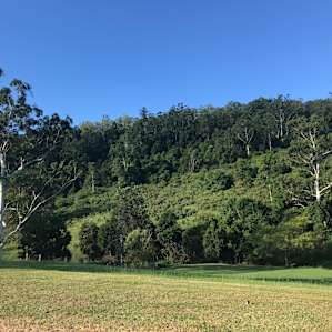 The beautiful outlook was our backyard for a couple of days.
Looking from our van site including concrete pad across the property down to a little creek.