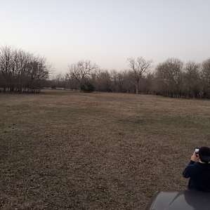 View from the campsite to the rest of the acreage