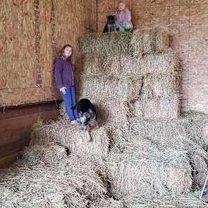 Horse Lovers Paradise - Bunkhouse
