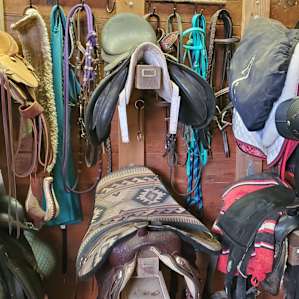 Horse Lovers Paradise - Bunkhouse