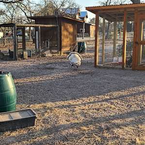 Ardor Wood Farm Camping