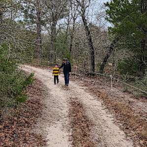 Ardor Wood Farm Camping