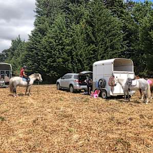 Beachside Campsite (Area A)