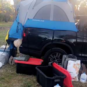 Vineyard and Palm studded RV sites