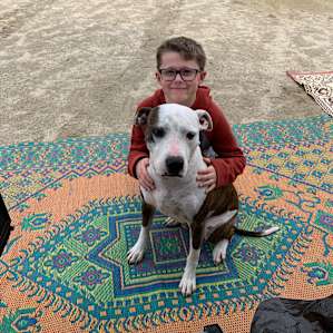 Apollo visited often and is the cutest ever!!!