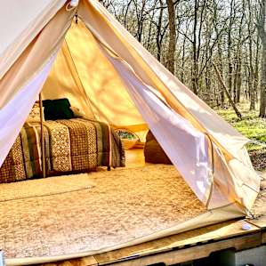 The Yurt! Cozy, cute and the bed is comfy!