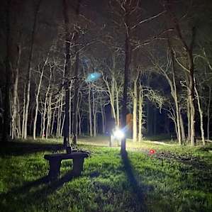 The short walk from the yurt to the fire pit, perfect for story telling time and freaking out your wife.