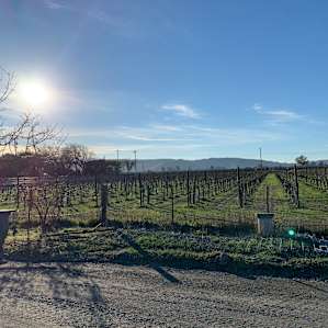Pharo Pharms Organic Farm-