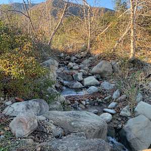 The creek