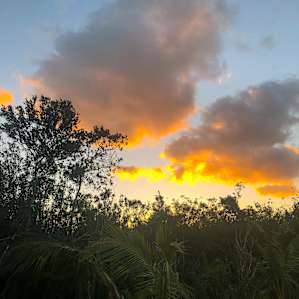 Gods country in Miami