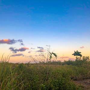 Gods country in Miami