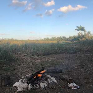 Gods country in Miami