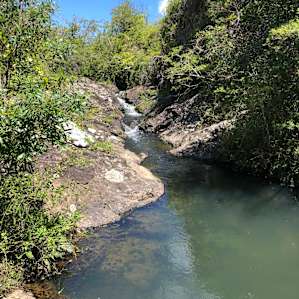 Magical creek on the property
