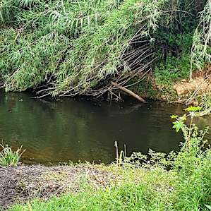 Riverrock, Bucketts Mountains