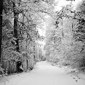 First tracks