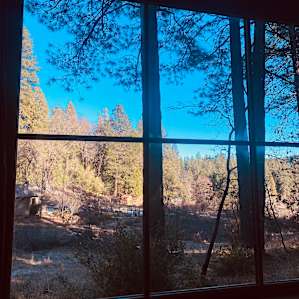 View from inside the cabin!