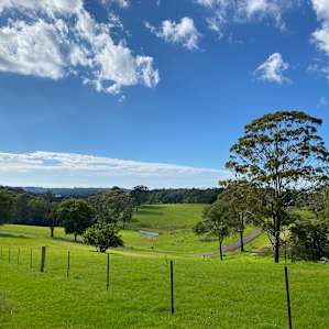 Riverview Retreat Paddock Camping