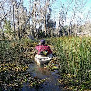 Shallow inlets were neat, we saw a turtle and a pretty blue heron...