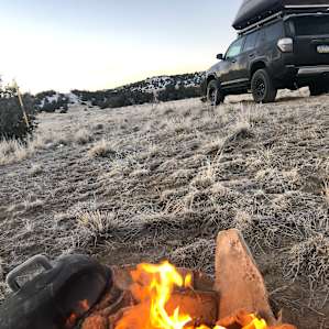 Whispering Wind Desert Oasis