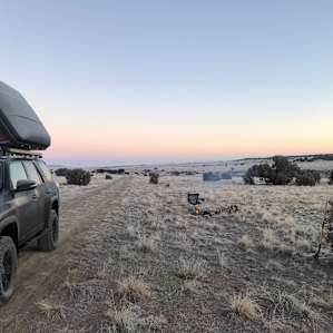Whispering Wind Desert Oasis