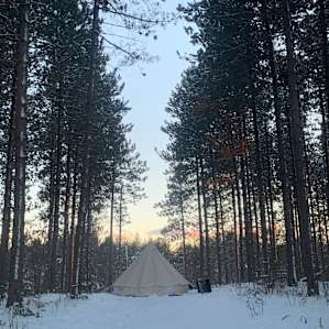 Red Pines Tent Camping