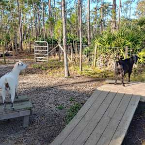New friends