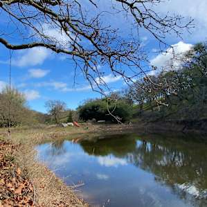 Olive Farm Camp
