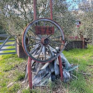 Olive Farm Camp