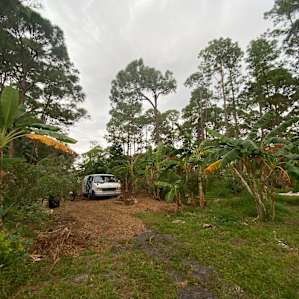 Anderson’s Tropical Food Forest