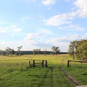 Stonepine Ridge : Creek View