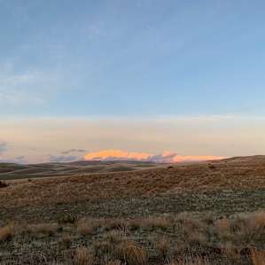 Cuyama Valley View