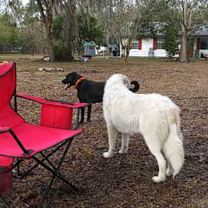 Mini-Farm RV Spot Boondocking