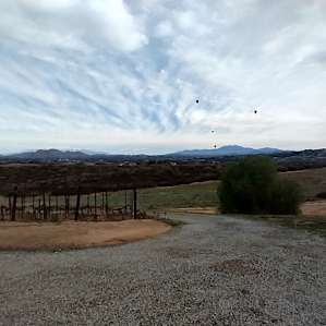 early morning hot air balloons