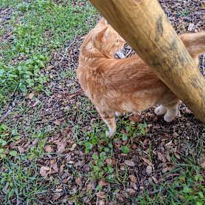 Friendly fella