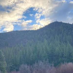 Quigleys Station Riverfront RV Park