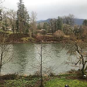 From the bedroom window