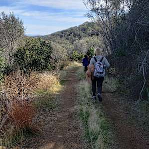 Prospector Ranch - Mountain Views