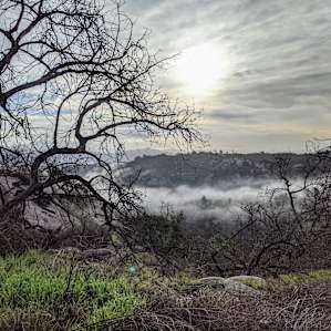 Morning sunrise and the fog rolling through the valley... such a peaceful wake-up!