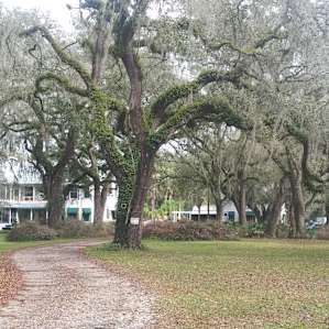 Hikers’ Dream at Magic Mansion