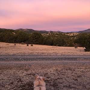 Sunrise view from campsite