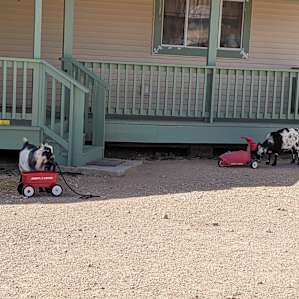 High Desert Ranch