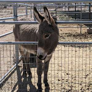 High Desert Ranch